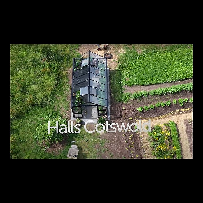 Halls Gewächshaus Burford 610 (Außenmaß inkl. Dachüberstand (B x T): 194 x 318 cm, Material Seitenwand: Glas, 3 mm, Schwarz) | BAUHAUS