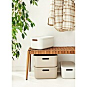 Rotho Aufbewahrungsbox Albula (L x B x H: 39,5 x 23,5 x 17,7 cm, Kunststoff, Weiß, 12 l) | BAUHAUS