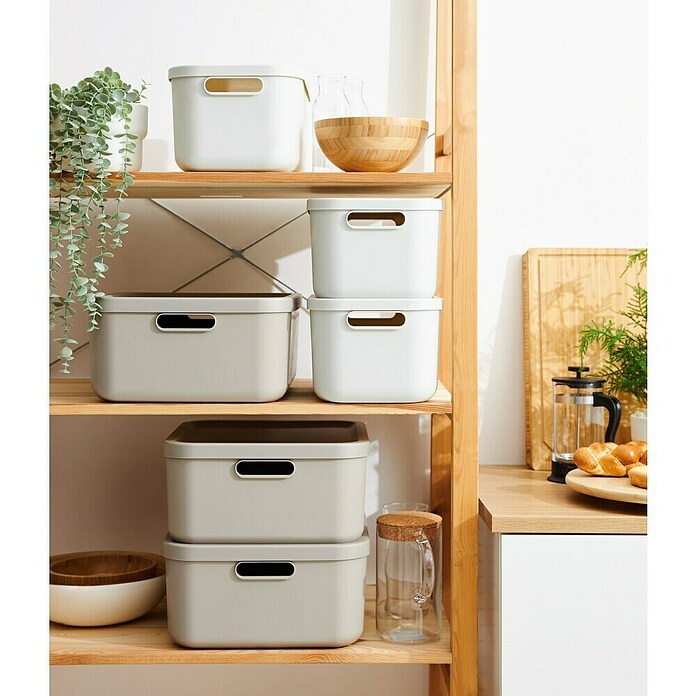 Rotho Aufbewahrungsbox Albula (L x B x H: 39,5 x 23,5 x 17,7 cm, Kunststoff, Weiß, 12 l) | BAUHAUS