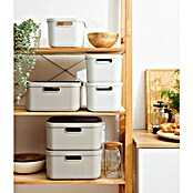 Rotho Aufbewahrungsbox Albula (L x B x H: 39,5 x 23,5 x 17,7 cm, Kunststoff, Weiß, 12 l) | BAUHAUS