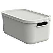Rotho Aufbewahrungsbox Albula (L x B x H: 39,5 x 23,5 x 17,7 cm, Kunststoff, Weiß, 12 l) | BAUHAUS