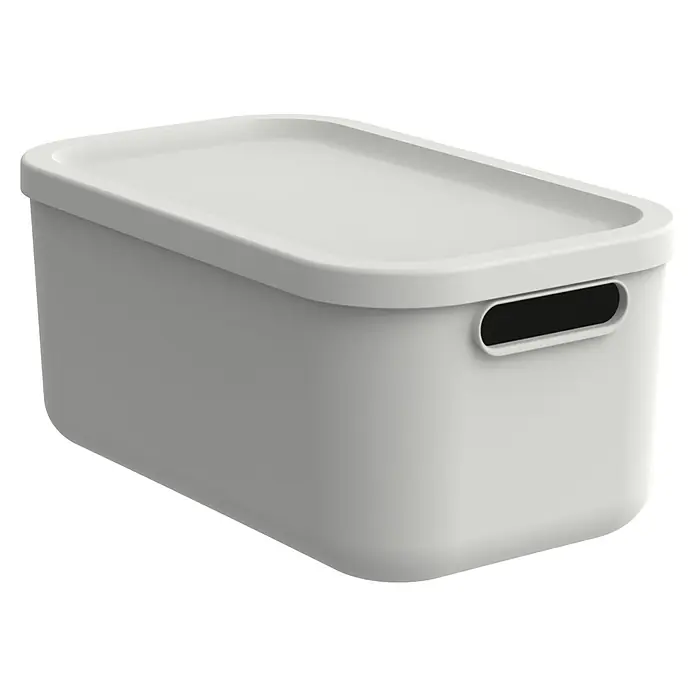 Rotho Aufbewahrungsbox - L x B x H: 39,5 x 23,5 x 17,7 cm, Kunststoff, Weiß, 12 l - Eine graue Aufbewahrungsbox mit Deckel und Griffen, ideal für die Organisation im Haushalt.