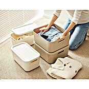 Rotho Aufbewahrungsbox Albula (L x B x H: 39,5 x 23,5 x 17,7 cm, Kunststoff, Weiß, 12 l) | BAUHAUS