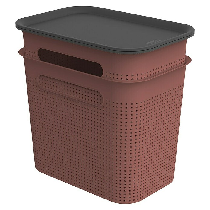 Rotho Aufbewahrungsbox Brisen (L x B x H: 265 x 185 x 260 mm, Kunststoff, Rostrot, 7 l) | BAUHAUS