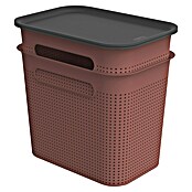 Rotho Aufbewahrungsbox Brisen (L x B x H: 265 x 185 x 260 mm, Kunststoff, Rostrot, 7 l) | BAUHAUS