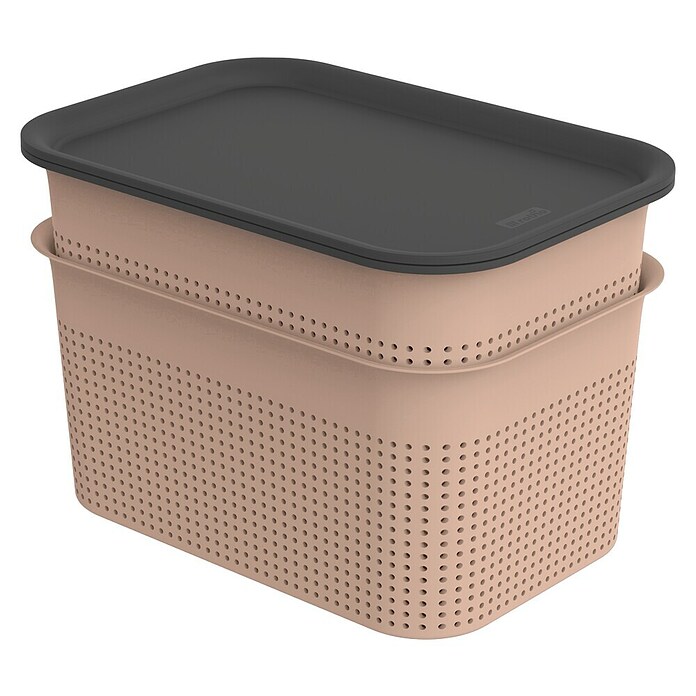 Rotho Aufbewahrungsbox Brisen (L x B x H: 265 x 185 x 175 mm, Kunststoff, Rosa, 4,5 l) | BAUHAUS