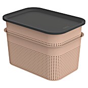 Rotho Aufbewahrungsbox Brisen (L x B x H: 265 x 185 x 175 mm, Kunststoff, Rosa, 4,5 l) | BAUHAUS