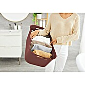 Rotho Wäschekorb Brisen (L x B x H: 596 x 396 x 232 mm, Rostrot, 41 l, Kunststoff) | BAUHAUS