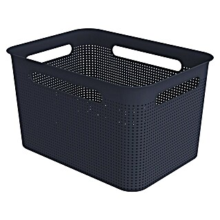 Rotho Aufbewahrungsbox Brisen (L x B x H: 360 x 262 x 211 mm, Kunststoff, Nachtblau, 16 l)