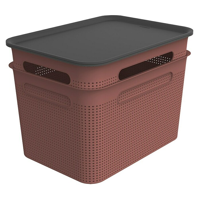 Rotho Aufbewahrungsbox Brisen (L x B x H: 363 x 265 x 260 mm, Kunststoff, Rostrot, 16 l) | BAUHAUS