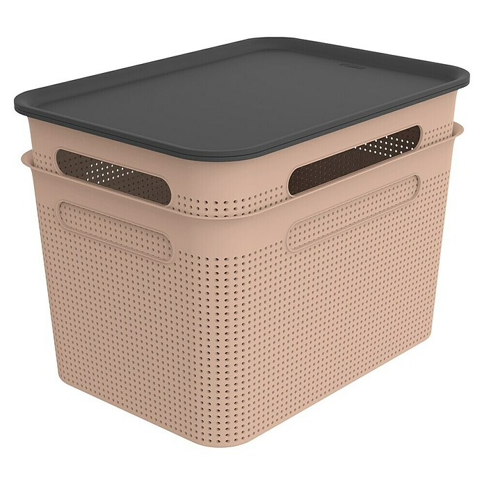 Rotho Aufbewahrungsbox Brisen (L x B x H: 363 x 265 x 260 mm, Kunststoff, Rosa, 16 l) | BAUHAUS