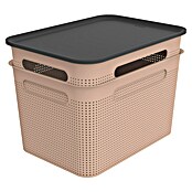 Rotho Aufbewahrungsbox Brisen (L x B x H: 363 x 265 x 260 mm, Kunststoff, Rosa, 16 l) | BAUHAUS
