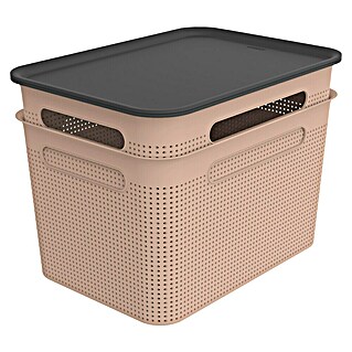Rotho Aufbewahrungsbox Brisen (L x B x H: 363 x 265 x 260 mm, Kunststoff, Rosa, 16 l)