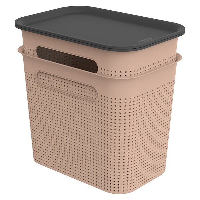 Rotho Aufbewahrungsbox Brisen (L x B x H: 265 x 185 x 260 mm, Kunststoff, Rosa, 7 l) | BAUHAUS