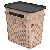 Rotho Aufbewahrungsbox Brisen (L x B x H: 265 x 185 x 260 mm, Kunststoff, Rosa, 7 l) | BAUHAUS