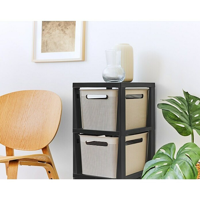 Rotho Aufbewahrungsbox Brisen mit Tower (L x B x H: 366 x 296 x 770 mm, Kunststoff, Cappuccino) | BAUHAUS