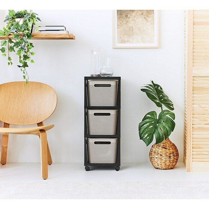 Rotho Aufbewahrungsbox Brisen mit Tower (L x B x H: 366 x 296 x 770 mm, Kunststoff, Cappuccino) | BAUHAUS