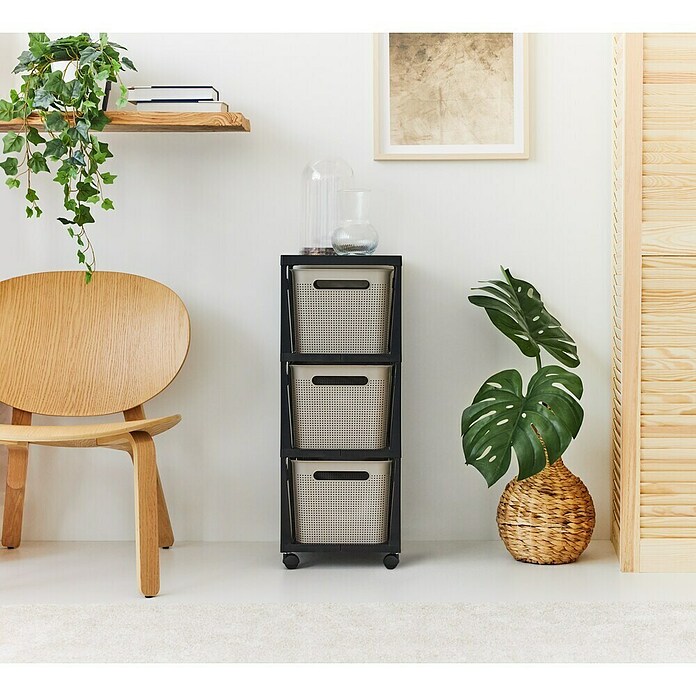 Rotho Aufbewahrungsbox Brisen mit Tower (L x B x H: 366 x 296 x 770 mm, Kunststoff, Cappuccino) | BAUHAUS