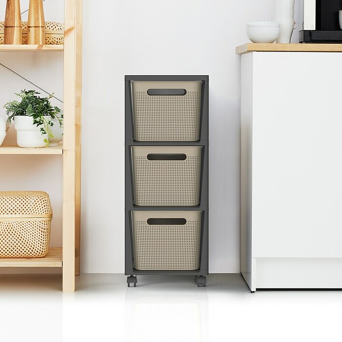Rotho Aufbewahrungsbox Brisen mit Tower (L x B x H: 366 x 296 x 770 mm, Kunststoff, Cappuccino) | BAUHAUS