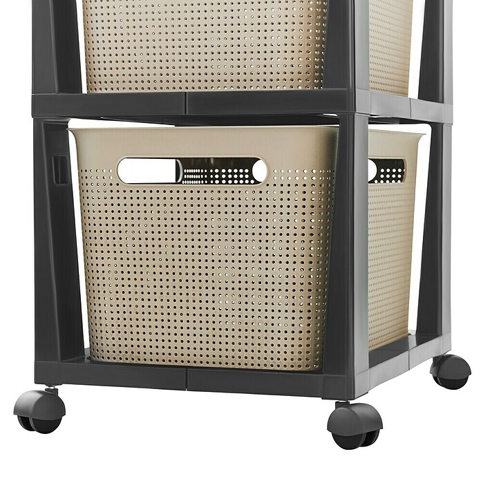 Rotho Aufbewahrungsbox Brisen mit Tower (L x B x H: 366 x 296 x 770 mm, Kunststoff, Cappuccino) | BAUHAUS