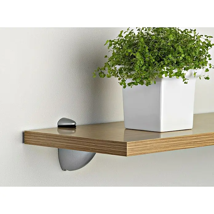 Rei Soporte de pared para estantes Pelican - L x An x Al: 6 x 7 x 2,6 cm, Blanco, Apto para: Estantes - Primer plano de una estantería con una planta en maceta, sostenida por soportes plateados fijados a una pared blanca.