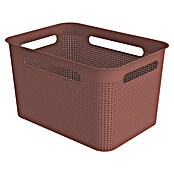 Rotho Aufbewahrungsbox Brisen (L x B x H: 360 x 262 x 211 mm, Kunststoff, Rostrot, 16 l) | BAUHAUS