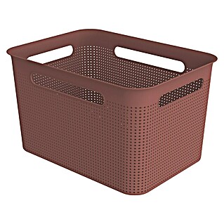 Rotho Aufbewahrungsbox Brisen (L x B x H: 360 x 262 x 211 mm, Kunststoff, Rostrot, 16 l)