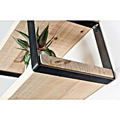 Rei Escuadra de pared recta (L x An x Al: 261 x 211 x 30 mm, Carga soportada: 30 kg, Negro) | BAUHAUS