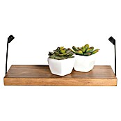 Rei Soporte de estantería recto (L x An x Al: 238 x 38 x 20 mm, Negro, Carga soportada: 15 kg) | BAUHAUS