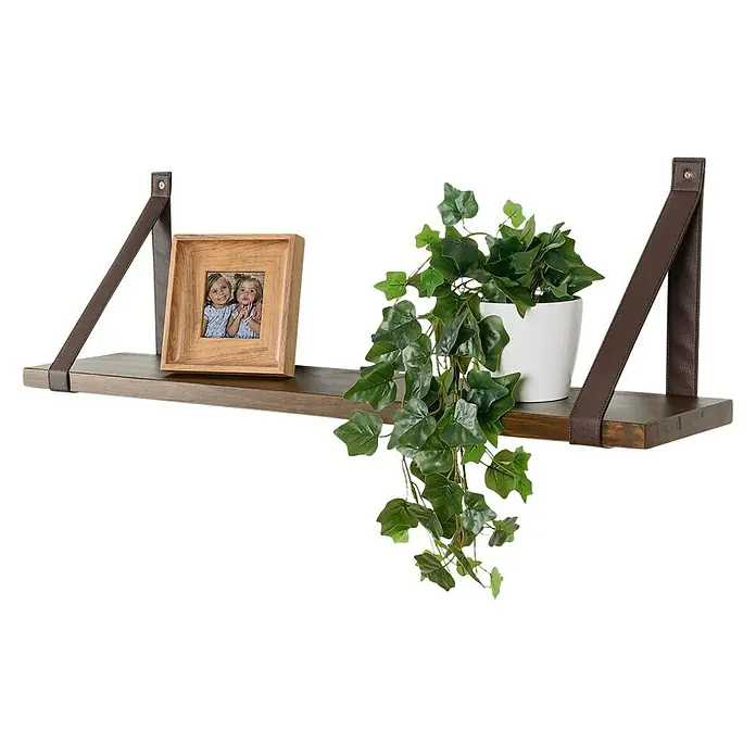 Rei Escuadra de pared - L x An x Al: 435 x 40 x 5 mm, Carga soportada: 20 kg, Chocolate, Polipiel - Estante de pared decorativo con correas de cuero, exhibiendo un marco de fotos y una planta en maceta.
