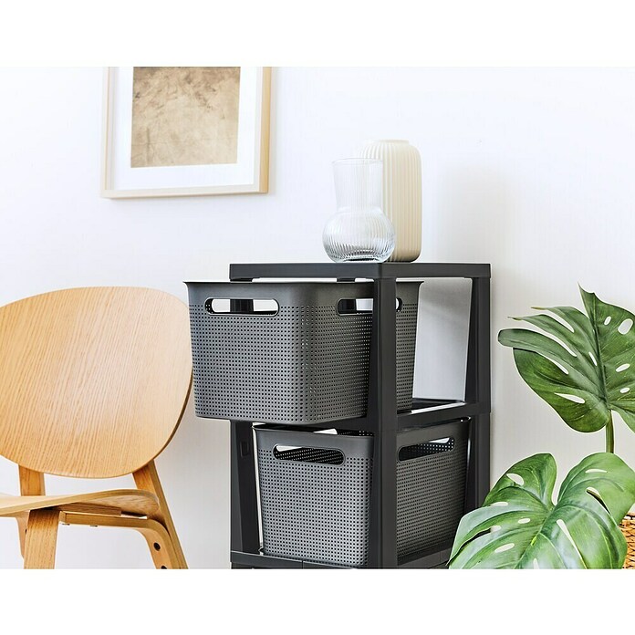 Rotho Aufbewahrungsbox Brisen mit Tower (L x B x H: 366 x 296 x 770 mm, Kunststoff, Anthrazit) | BAUHAUS