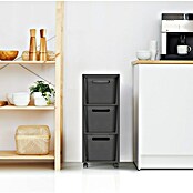 Rotho Aufbewahrungsbox Brisen mit Tower (L x B x H: 366 x 296 x 770 mm, Kunststoff, Anthrazit) | BAUHAUS
