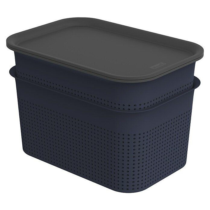 Rotho Aufbewahrungsbox Brisen (L x B x H: 265 x 185 x 175 mm, Kunststoff, Nachtblau, 4,5 l) | BAUHAUS