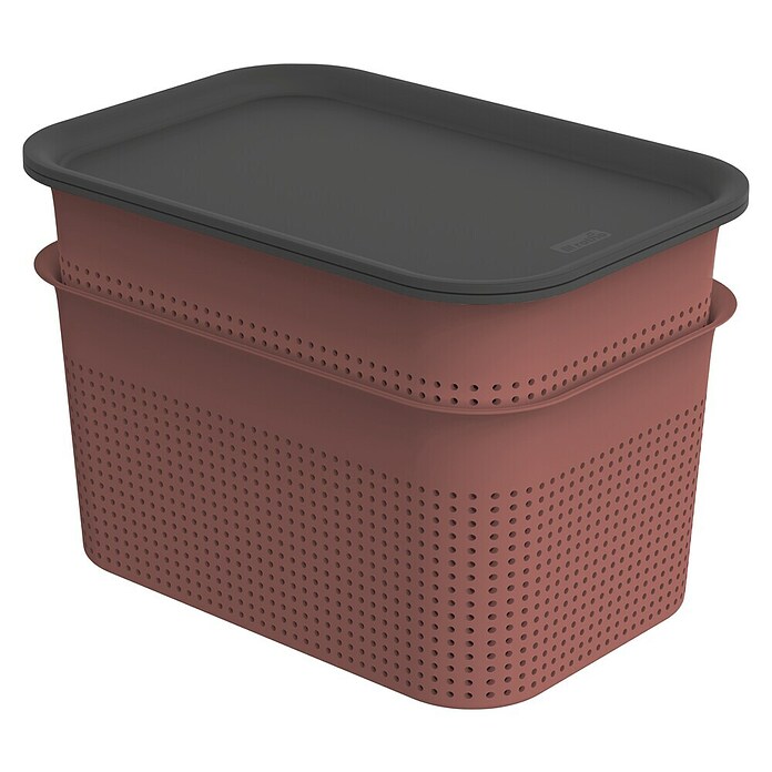 Rotho Aufbewahrungsbox Brisen (L x B x H: 265 x 185 x 175 mm, Kunststoff, Rostrot, 4,5 l) | BAUHAUS