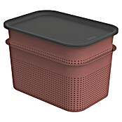 Rotho Aufbewahrungsbox Brisen (L x B x H: 265 x 185 x 175 mm, Kunststoff, Rostrot, 4,5 l) | BAUHAUS