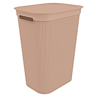Rotho Wäschesammler Brisen (431 x 340 x 529 mm, Rosa, Kunststoff)