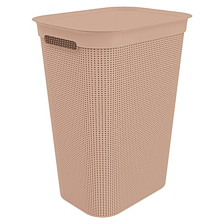 Rotho Wäschesammler Brisen (431 x 340 x 529 mm, Rosa, Kunststoff)