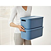 Rotho Aufbewahrungsbox Albula (L x B x H: 39,5 x 23,5 x 17,7 cm, Kunststoff, Horizonblau, 12 l) | BAUHAUS
