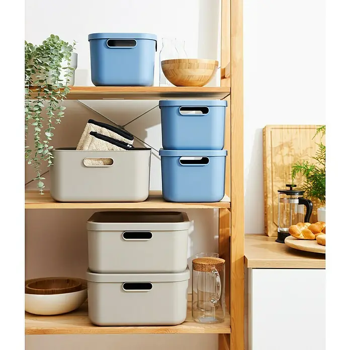Rotho Aufbewahrungsbox - L x B x H: 39,5 x 23,5 x 17,7 cm, Kunststoff, Horizonblau, 12 l - Aufbewahrungsboxen in verschiedenen Größen und Farben auf einem Holzregal. Praktische Aufbewahrungslösung für jeden Raum.