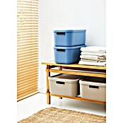 Rotho Aufbewahrungsbox Albula (L x B x H: 39,5 x 23,5 x 17,7 cm, Kunststoff, Horizonblau, 12 l) | BAUHAUS