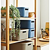 Rotho Aufbewahrungsbox Albula (L x B x H: 39,5 x 23,5 x 17,7 cm, Kunststoff, Horizonblau, 12 l) | BAUHAUS