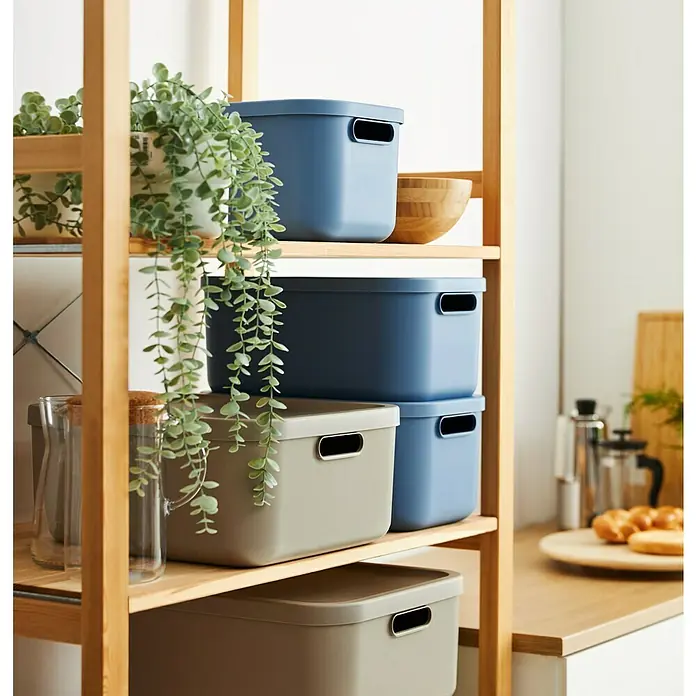 Rotho Aufbewahrungsbox - L x B x H: 39,5 x 23,5 x 17,7 cm, Kunststoff, Horizonblau, 12 l - Nahaufnahme eines Holzregals mit farblich sortierten Aufbewahrungsboxen und dekorativen Pflanzen.
