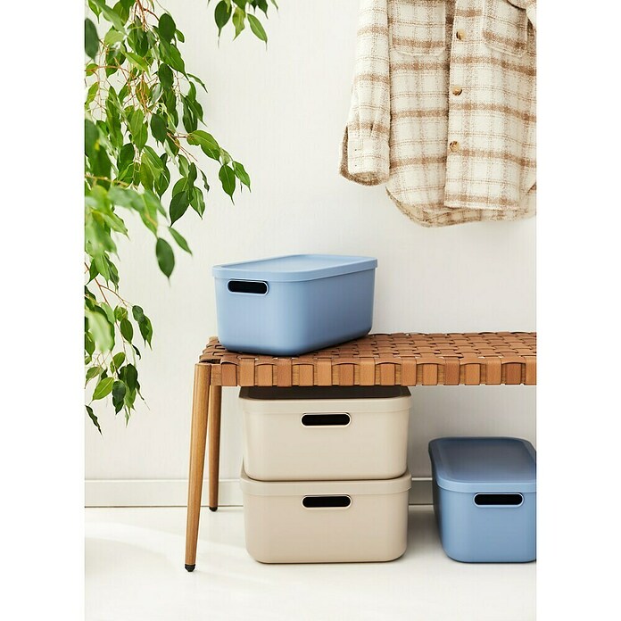 Rotho Aufbewahrungsbox Albula (L x B x H: 39,5 x 23,5 x 17,7 cm, Kunststoff, Horizonblau, 12 l) | BAUHAUS
