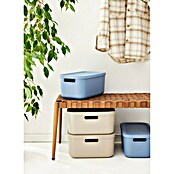 Rotho Aufbewahrungsbox Albula (L x B x H: 39,5 x 23,5 x 17,7 cm, Kunststoff, Horizonblau, 12 l) | BAUHAUS