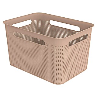 Rotho Aufbewahrungsbox Brisen (L x B x H: 360 x 262 x 211 mm, Kunststoff, Rosa, 16 l)