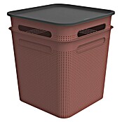 Rotho Aufbewahrungsbox Brisen (L x B x H: 293 x 293 x 330 mm, Kunststoff, Rostrot, 18 l) | BAUHAUS