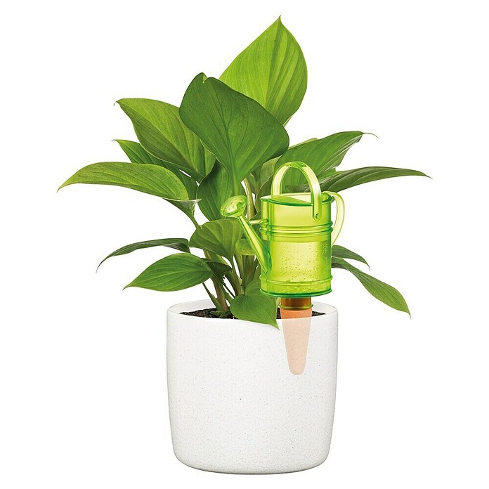 Scheurich Wasserspeicher Nelly (Fassungsvermögen: 0,11 l, Green) | BAUHAUS