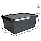 Sunware Opbergbox Comfort Line (l x b x h: 60 x 40 x 26 cm, Transparant grijs, Kunststof) | BAUHAUS