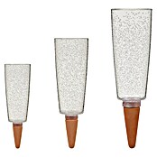 Scheurich Wasserspender Copa (500 ml, Clear) | BAUHAUS