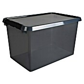 Sunware Opbergbox Comfort Line (l x b x h: 60 x 40 x 34 cm, Transparant grijs, Kunststof) | BAUHAUS